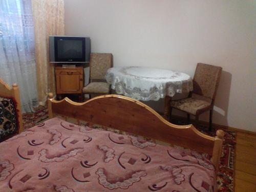 a bedroom with a bed and a table and a tv at Shelter Pid Lypamy in Mykulychyn