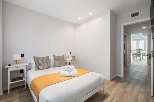 Accessible flat near the Toledo Bridge - 1A
