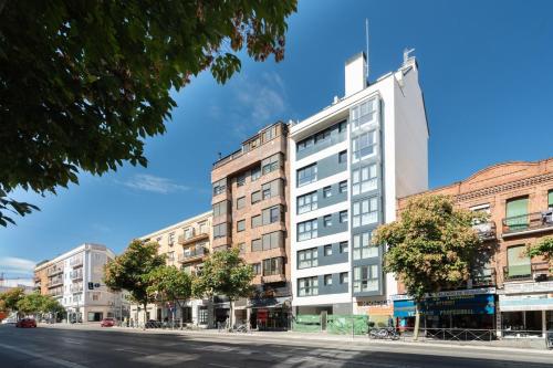 Accessible flat near the Toledo Bridge - 1A