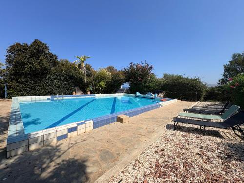 a swimming pool with a bench next to it at Queen Evridiki in Peyia