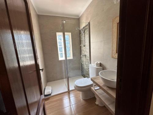 a bathroom with a shower and a toilet and a sink at Casa Loureiro - Vista Rio Douro in Resende