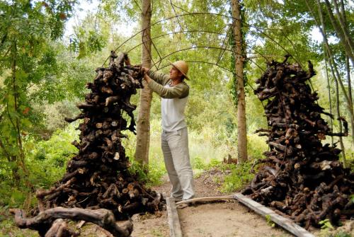 a man standing next to a tree in a forest at Hôtel L'Yeuse - Teritoria in Châteaubernard