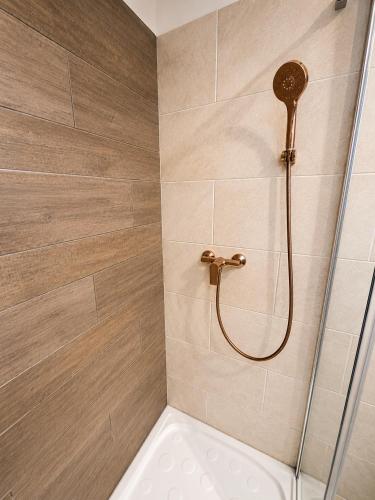 a bathroom with a shower with a toilet at Apartman Volosko in Opatija