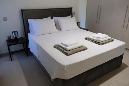 Poseidon 77B Luxury Residences