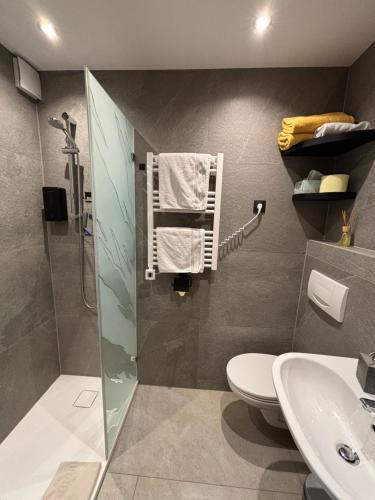 a bathroom with a shower and a toilet and a sink at Haus Falkner in Mutters