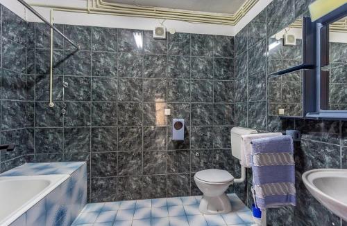a bathroom with a toilet and a tub and a sink at Apartment Dragica in Valbandon