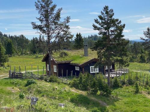 a house with a grass roof on a hill at Løstegård hytter at the top of Golsfjellet in Gol