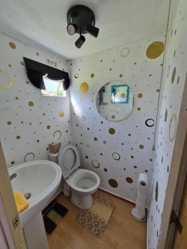 a bathroom with a sink and a toilet in a room at Airport Cottage in Aldergrove