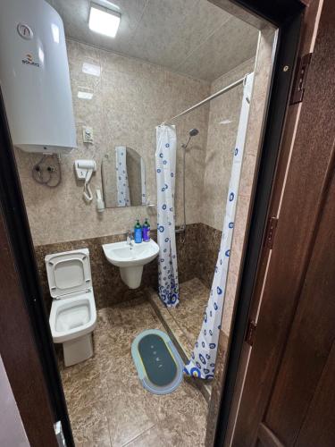 a bathroom with a toilet and a sink and a shower at Hotel Hovit in Bagratashen