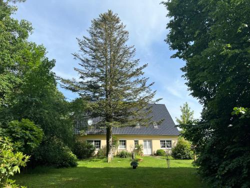 a house with a large tree in the yard at Natur & Ruhe in Worpswede