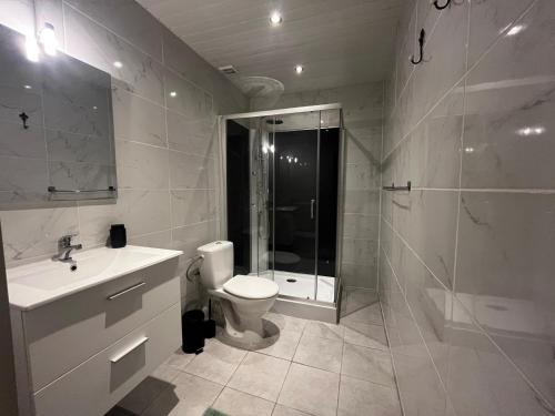 a bathroom with a toilet and a shower and a sink at Gîte authentique avec piscine en Aveyron in Morlhon-le-Haut
