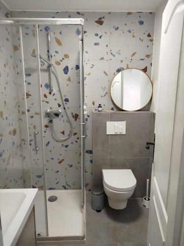 a bathroom with a shower and a toilet and a mirror at Loparina House in Nerezine