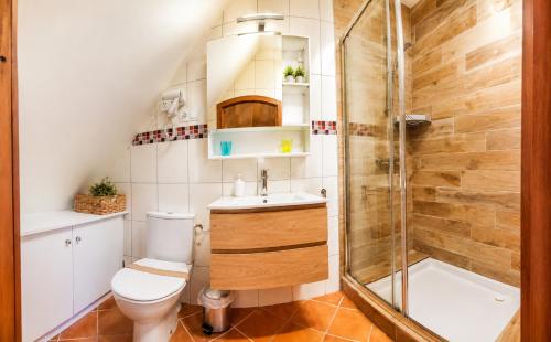 a bathroom with a toilet and a shower at MARYPRATJOULOU Chambres d'hôtes- salle de bain privative- spacieux calme- GR34- bord de mer d'IROISE- Petit déjeuner compris PAIEMENT UNIQUEMENT SUR PLACE , ESPECES ,CB in Porspoder