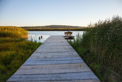 a wooden boardwalk leading to a bench on a lake at Siedlisko Wigry in Rosochaty Róg