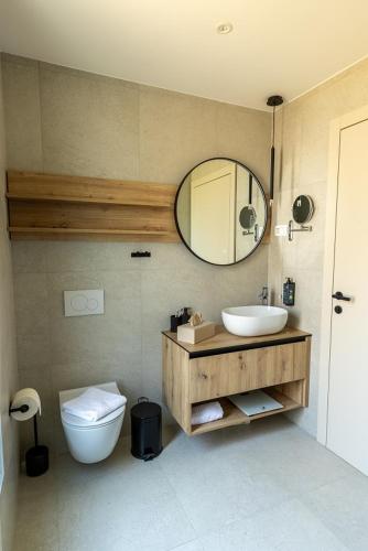 a bathroom with a sink and a toilet and a mirror at Glamping resort Dolenjc in Novo Mesto