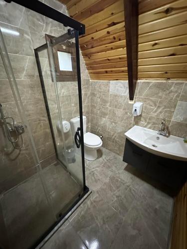 a bathroom with a shower and a sink and a toilet at Oce Bungalow in Ardeşen