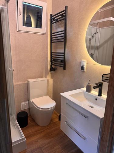 a bathroom with a toilet and a sink and a mirror at Wiatrowe Domki in Lądek-Zdrój