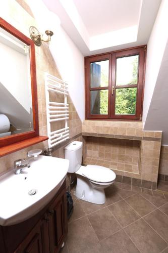 a bathroom with a toilet and a sink at Hotel Ivanov Konak i Depadans Palac in Cetinje