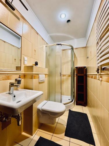a bathroom with a toilet and a sink and a shower at Willa Róża Karkonoszy in Jelenia Góra