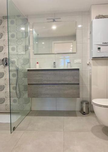 a bathroom with a shower and a sink and a toilet at Dora Apartman in Tomislavgrad