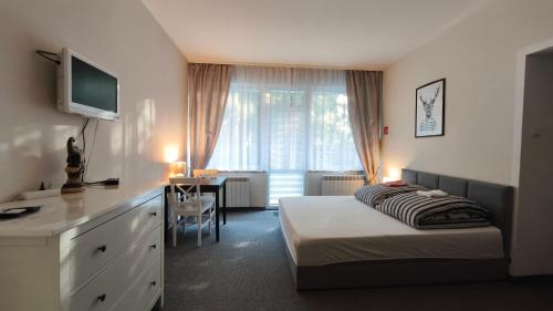 a bedroom with a bed and a desk with a television at Villa Góralka in Polanica-Zdrój