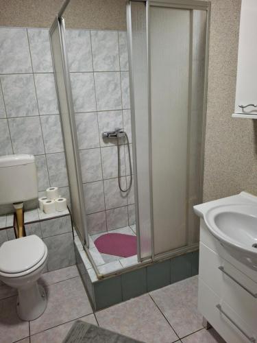 a bathroom with a shower with a toilet and a sink at Apartments Petrovic in Krimovice