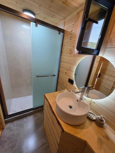 a bathroom with a sink and a shower at Кольсай Тау Оректы resort in Kurmenty