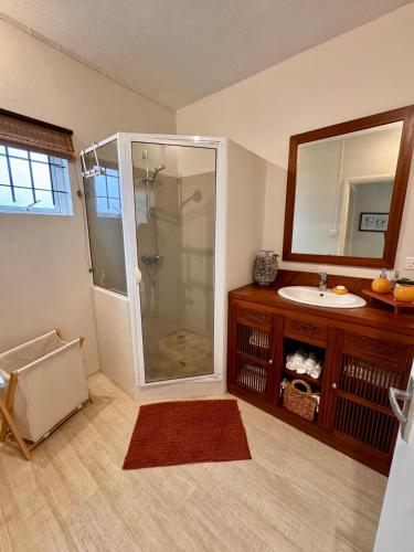 a bathroom with a shower and a sink at Villa Kanasuk in Pointe d'Esny