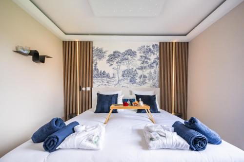 a bedroom with a large white bed with blue pillows at L'Escapade Indigo - Balnéo - Sauna in Tournefeuille