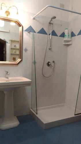 a bathroom with a shower and a sink at Alfieri Bed & Breakfast in Pisa