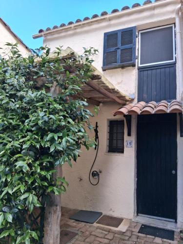 a house with a black door and a tree at Maison Laujo en bord de mer in Santa-Maria-Poggio