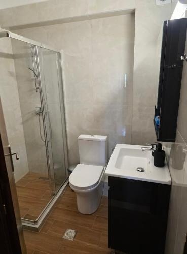 a bathroom with a shower and a toilet and a sink at Nice apartment with amazing views in Kriopigi