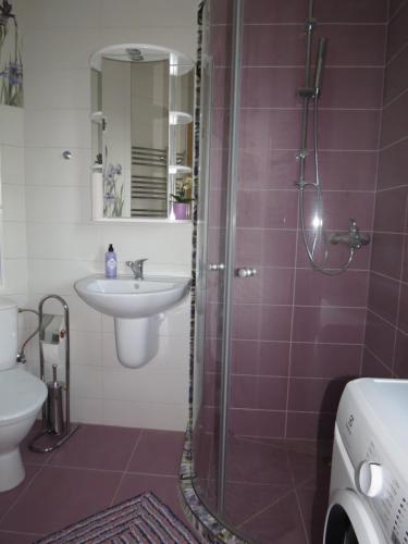 a bathroom with a sink and a shower at Namelio-mini vilos nuoma in Palanga