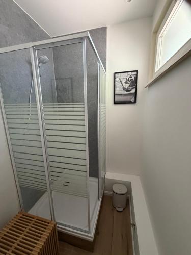 a bathroom with a walk in shower and a toilet at Momo Den in Blomberg