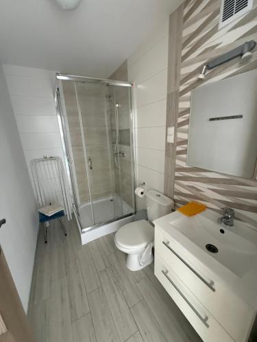 a bathroom with a shower and a toilet and a sink at Pokoje i apartamenty Pod Dębem in Rowy