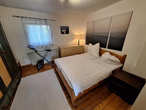 a bedroom with a bed and a bicycle in it at Apartments Sonne am Sund in Stralsund