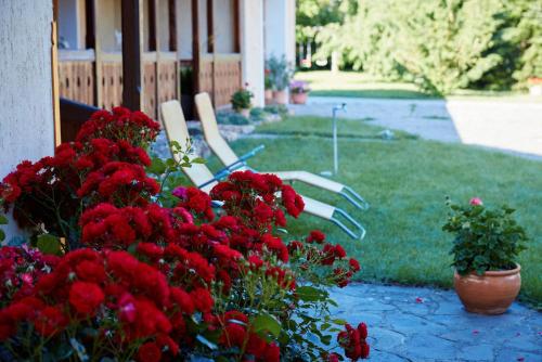 a garden with red flowers and chairs in the yard at Borbála Vendégház in Füzér