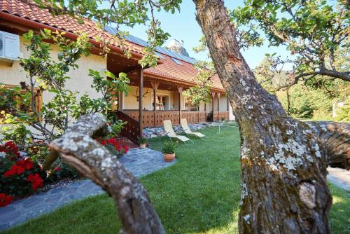 a house with a yard with chairs and a tree at Borbála Vendégház in Füzér