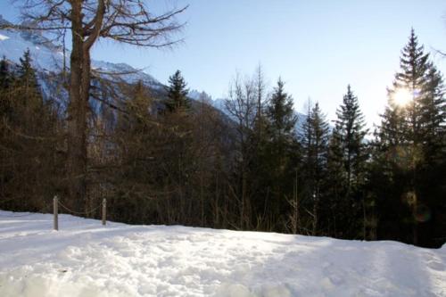 A little corner of paradise in the heart of nature photo 15