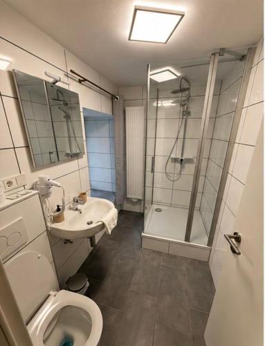 a bathroom with a shower and a toilet and a sink at Hotel Restaurant El Greco bei der Taffingsmühle in Saarlouis