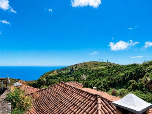 a roof of a house with a mountain in the background at Emiliana in Puntallana