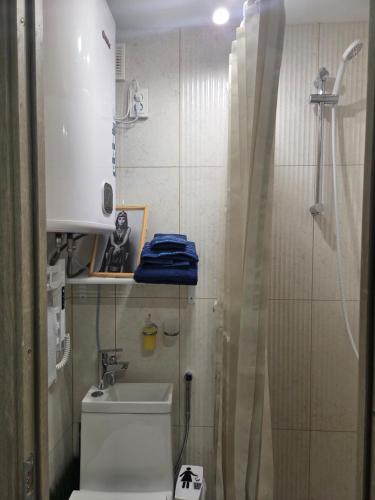 ein kleines Badezimmer mit Toilette und Dusche in der Unterkunft Pas tetulę in Anykščiai