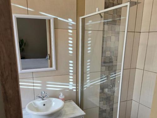 a bathroom with a sink and a shower with a mirror at Cape Karoo Lodge in Riversdale