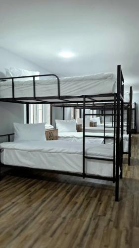 two bunk beds in a room with a wooden floor at Econom Hostel Ganja in Ganja