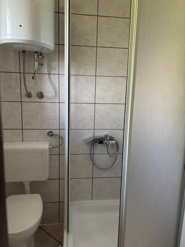 a small bathroom with a toilet and a shower at Holiday house Šadrvan Sarajevo in Hadžići