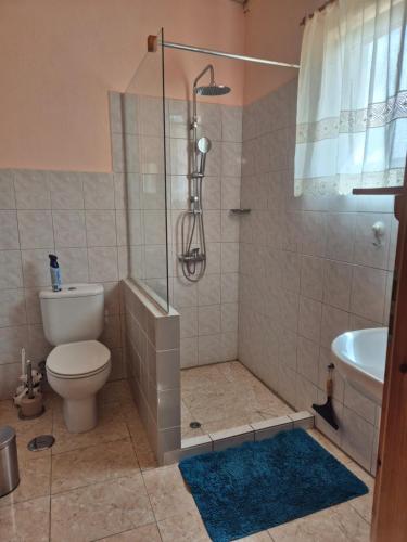 a bathroom with a shower with a toilet and a sink at Casa da Paz-Martinchel in Casal do Rei