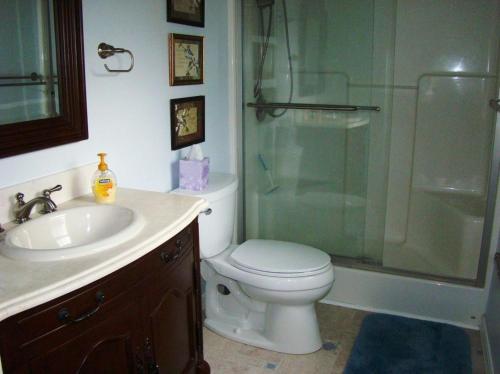 ein Bad mit einer Dusche, einem WC und einem Waschbecken in der Unterkunft Climbing Bear Creekside Cabin in Whittier