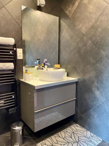 a bathroom with a sink and a mirror at Le Domaine d'Elissois in Saint-Nicolas-de-Redon