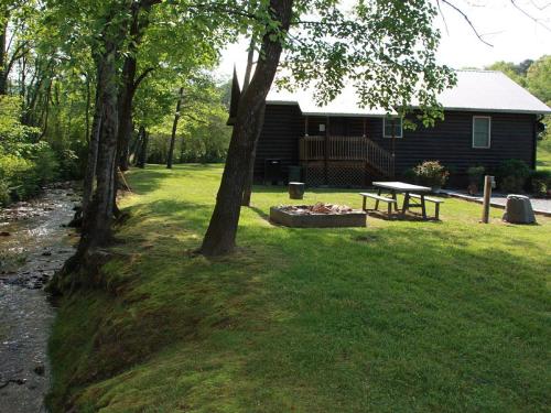 Climbing Bear Creekside Cabin – Photos 5