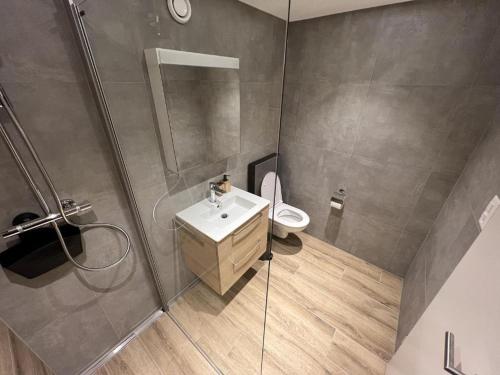Magnifique appartement rénové avec vue montagne